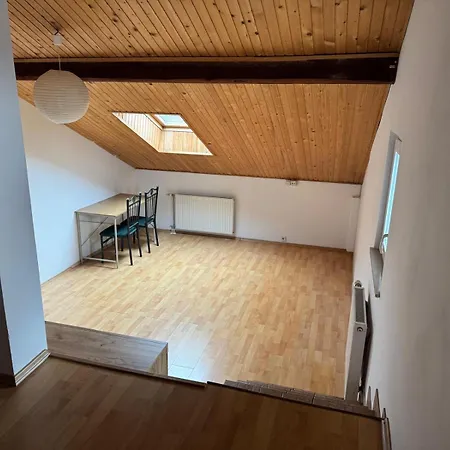 Spacious Near Center * Liubliana